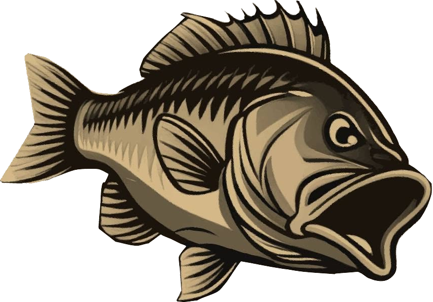 Northwest Rankin High School Fishing Team